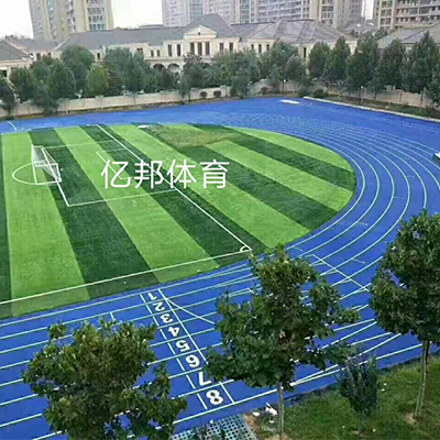 塑胶跑道材料 塑胶跑道材料